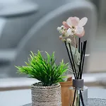 Modern Design With Parking * サラエヴォ
